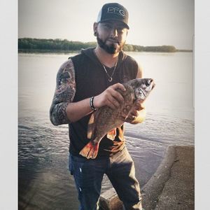 Meet your Posher, Holdon